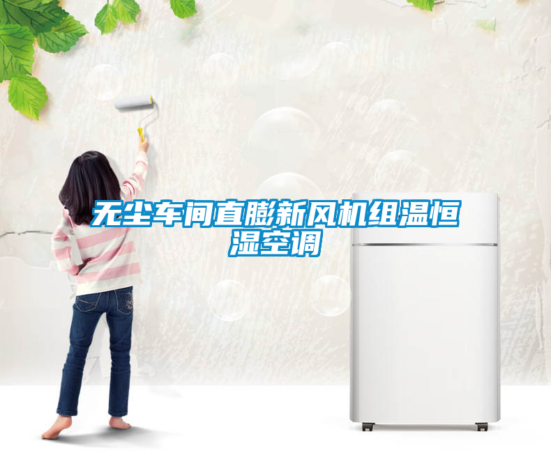 無塵車間直膨新風機組溫恒濕空調(diào)