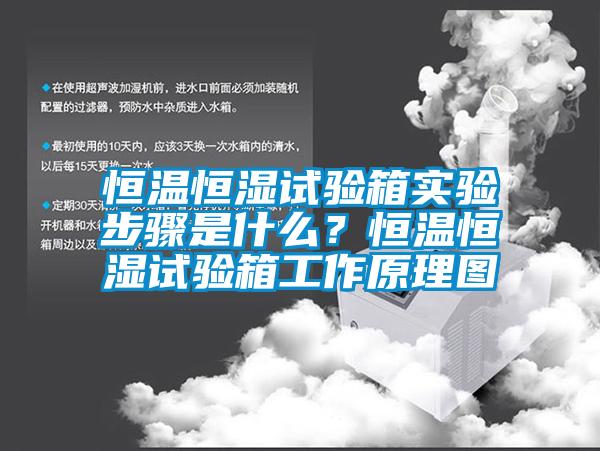 恒溫恒濕試驗箱實驗步驟是什么？恒溫恒濕試驗箱工作原理圖