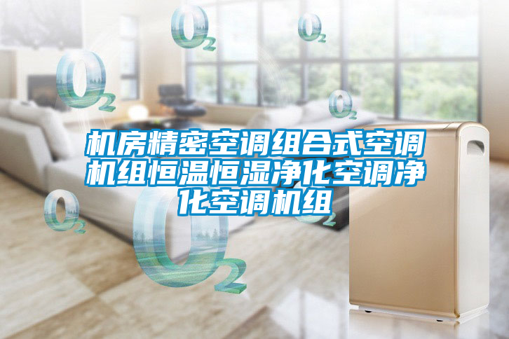 機房精密空調(diào)組合式空調(diào)機組恒溫恒濕凈化空調(diào)凈化空調(diào)機組