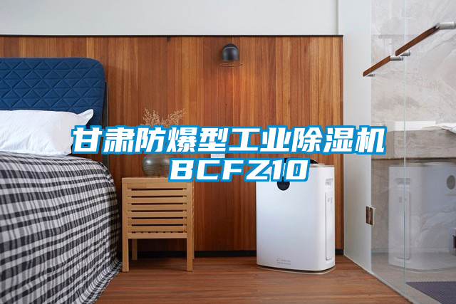 甘肅防爆型工業(yè)除濕機 BCFZ10