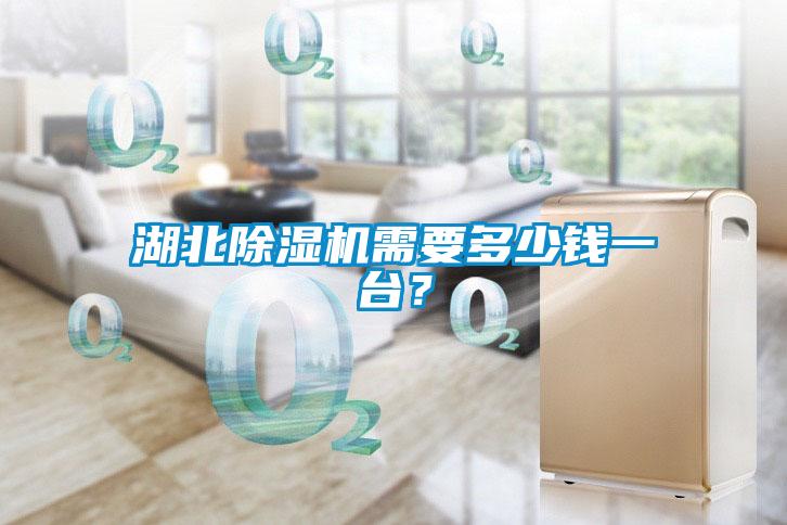 湖北除濕機需要多少錢一臺？
