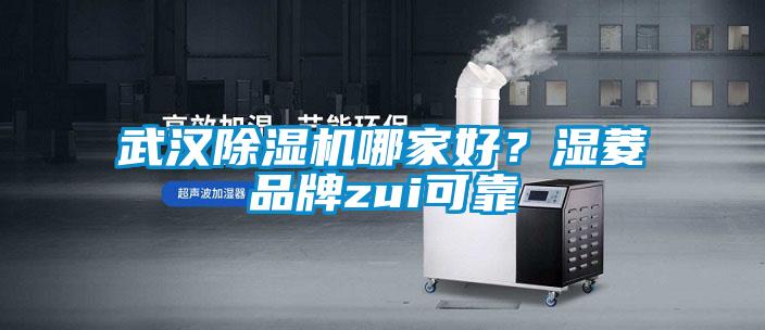 武漢除濕機(jī)哪家好？濕菱品牌zui可靠