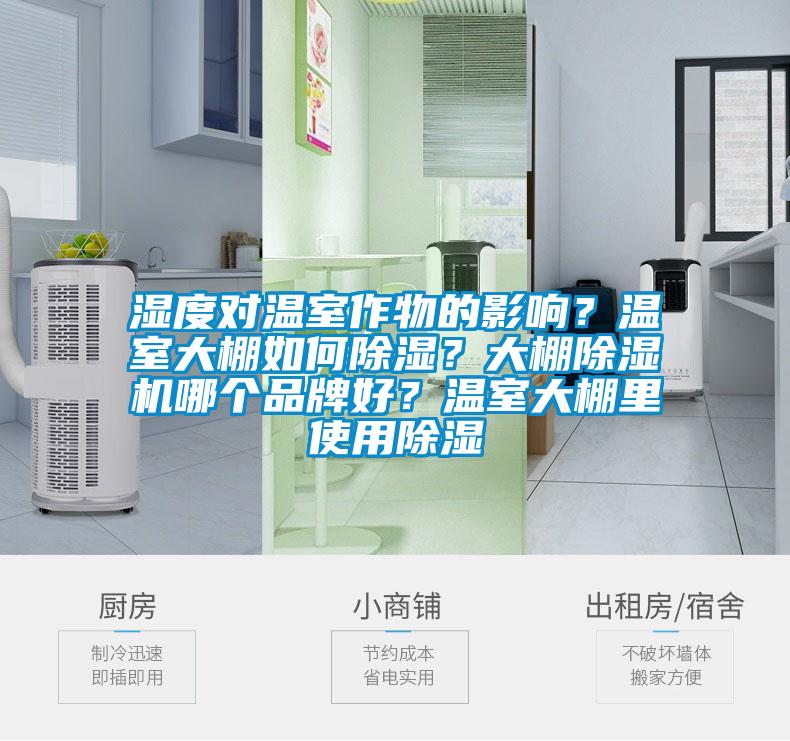 濕度對溫室作物的影響？溫室大棚如何除濕？大棚除濕機哪個品牌好？溫室大棚里使用除濕