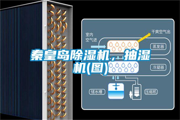 秦皇島除濕機，抽濕機(圖)
