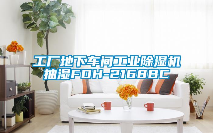 工廠地下車間工業(yè)除濕機(jī)抽濕FDH-2168BC