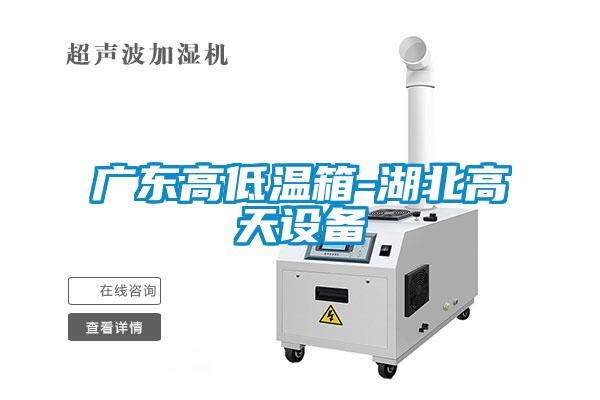 廣東高低溫箱-湖北高天設備