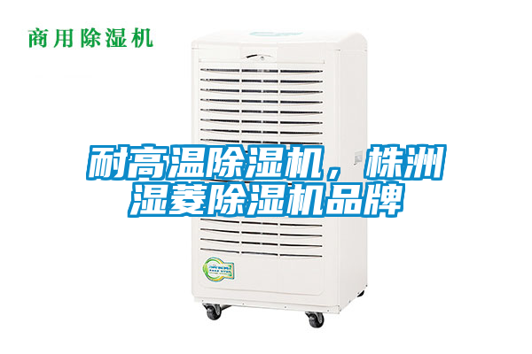 耐高溫除濕機(jī)，株洲濕菱除濕機(jī)品牌