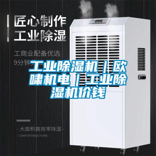 工業(yè)除濕機(jī)｜歐嘯機(jī)電｜工業(yè)除濕機(jī)價(jià)錢(qián)