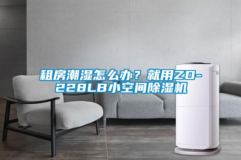 租房潮濕怎么辦？就用ZD-228LB小空間除濕機