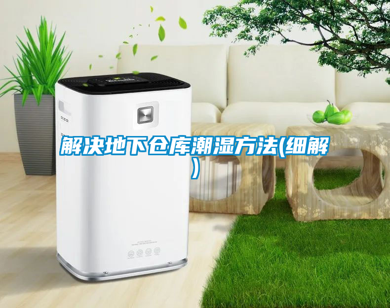 解決地下倉(cāng)庫(kù)潮濕方法(細(xì)解)