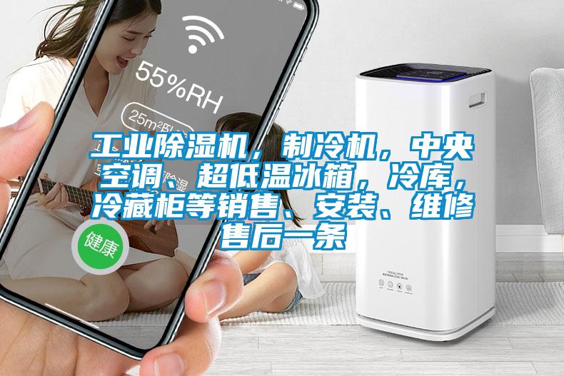 工業(yè)除濕機(jī)，制冷機(jī)，中央空調(diào)、超低溫冰箱，冷庫(kù)，冷藏柜等銷售、安裝、維修售后一條