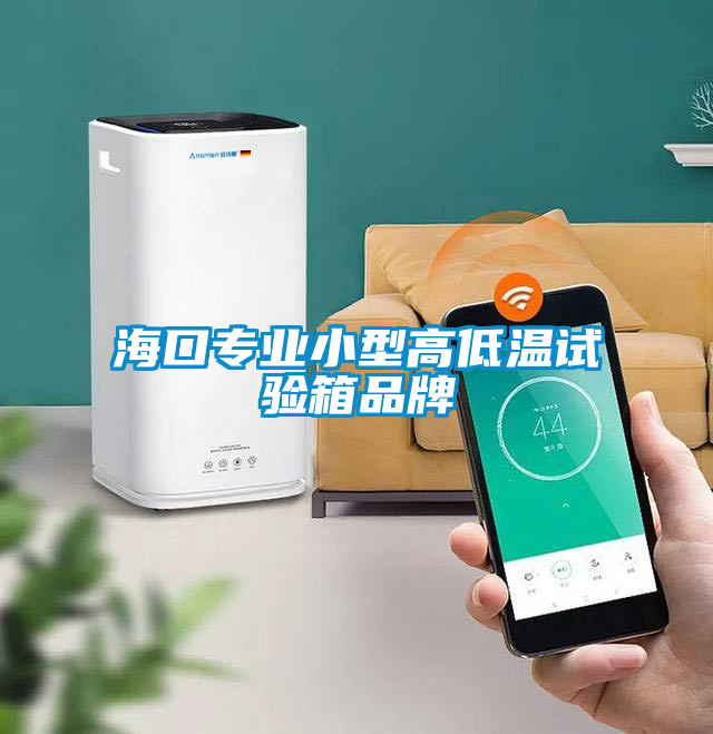 ?？趯?zhuān)業(yè)小型高低溫試驗(yàn)箱品牌