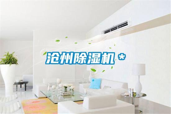 滄州除濕機(jī)＊