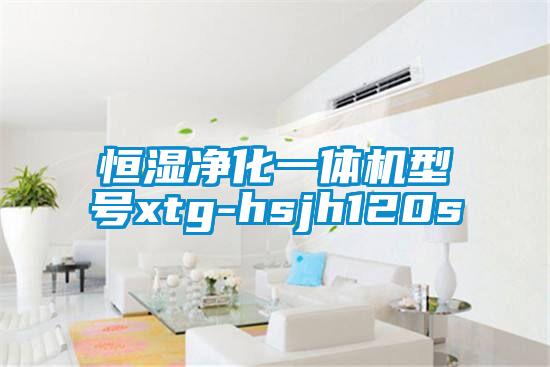恒濕凈化一體機(jī)型號(hào)xtg-hsjh120s