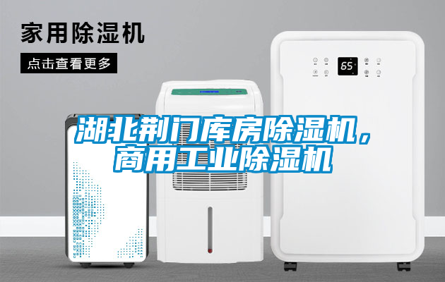 湖北荊門庫房除濕機，商用工業(yè)除濕機