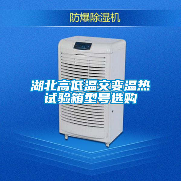 湖北高低溫交變溫?zé)嵩囼炏湫吞栠x購