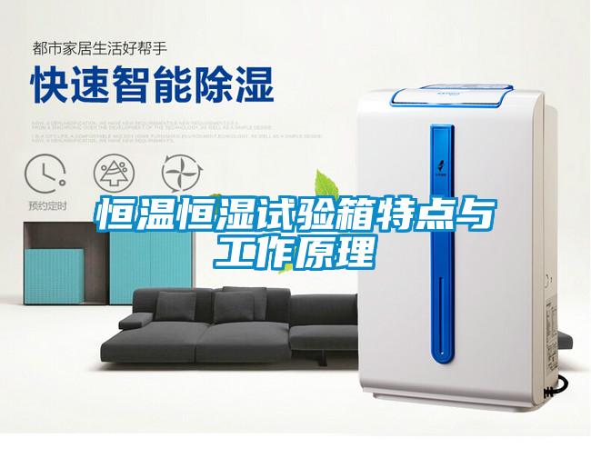 恒溫恒濕試驗(yàn)箱特點(diǎn)與工作原理