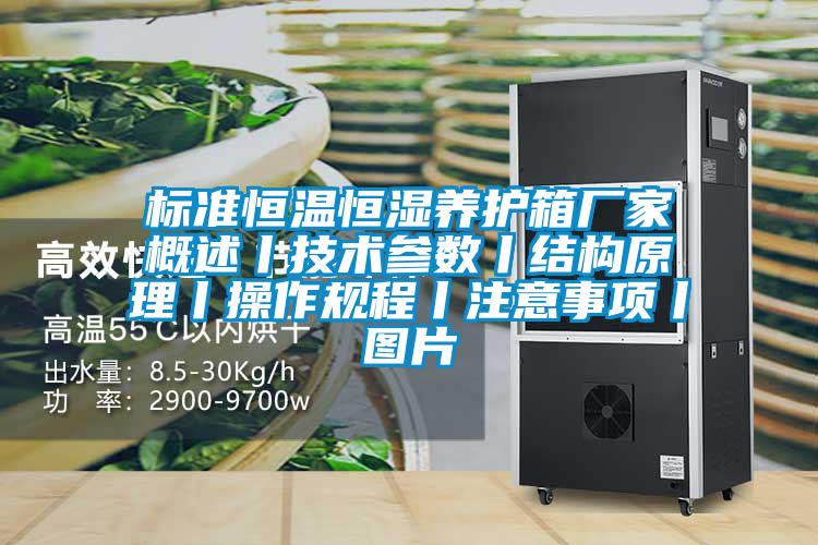 標準恒溫恒濕養(yǎng)護箱廠家概述丨技術(shù)參數(shù)丨結(jié)構(gòu)原理丨操作規(guī)程丨注意事項丨圖片