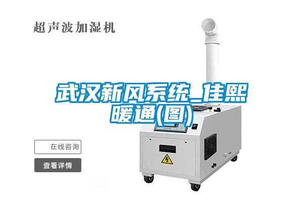 武漢新風系統(tǒng)_佳熙暖通(圖)