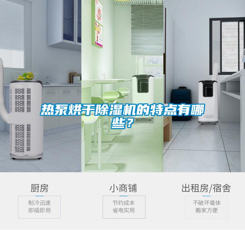 熱泵烘干除濕機(jī)的特點(diǎn)有哪些？