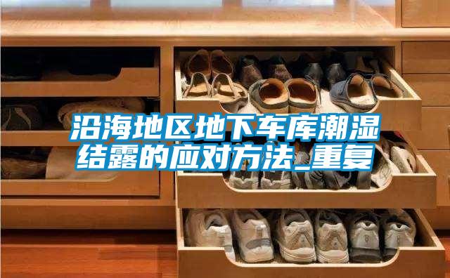 沿海地區(qū)地下車庫(kù)潮濕結(jié)露的應(yīng)對(duì)方法_重復(fù)