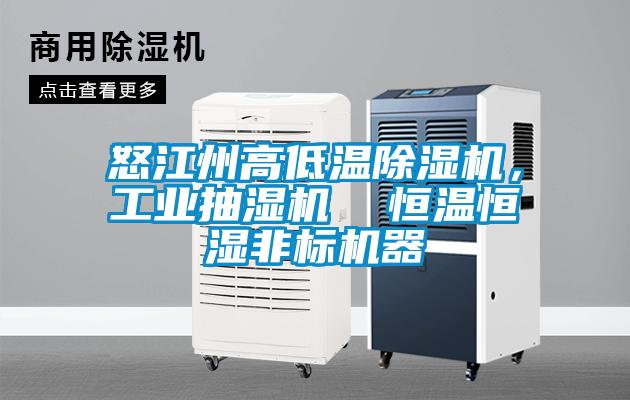 怒江州高低溫除濕機(jī)，工業(yè)抽濕機(jī)  恒溫恒濕非標(biāo)機(jī)器