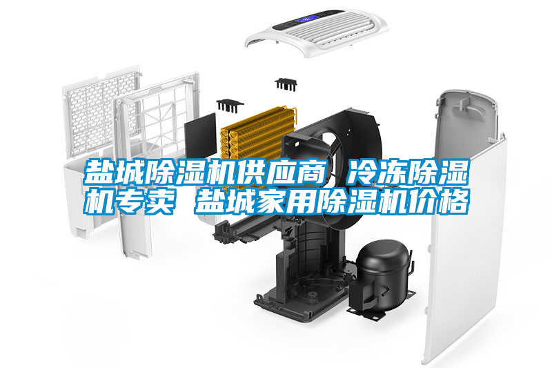 鹽城除濕機供應(yīng)商 冷凍除濕機專賣 鹽城家用除濕機價格