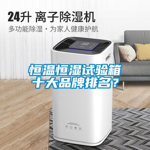 恒溫恒濕試驗(yàn)箱十大品牌排名？