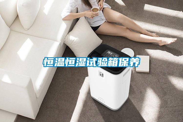 恒溫恒濕試驗箱保養(yǎng)