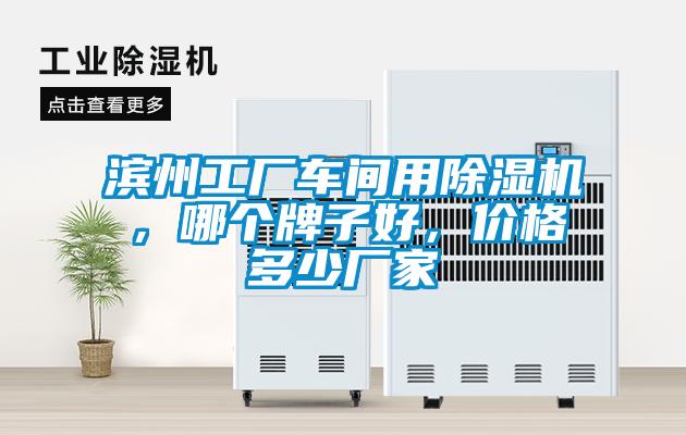 濱州工廠車(chē)間用除濕機(jī)，哪個(gè)牌子好，價(jià)格多少?gòu)S家