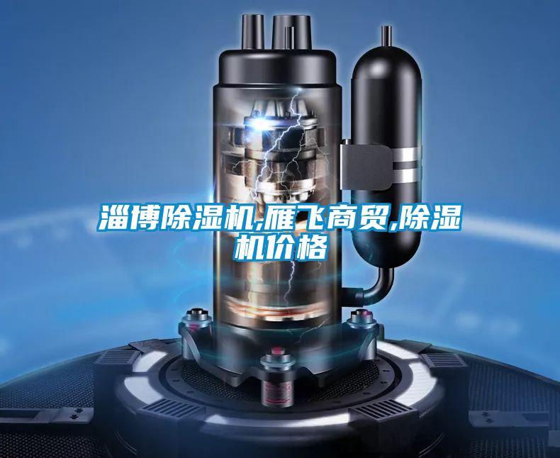 淄博除濕機(jī),雁飛商貿(mào),除濕機(jī)價(jià)格
