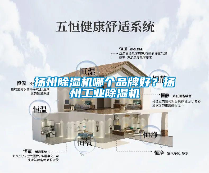 揚(yáng)州除濕機(jī)哪個品牌好？揚(yáng)州工業(yè)除濕機(jī)