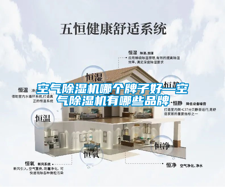 空氣除濕機(jī)哪個(gè)牌子好—空氣除濕機(jī)有哪些品牌