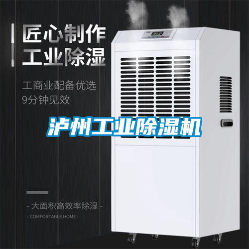 瀘州工業(yè)除濕機