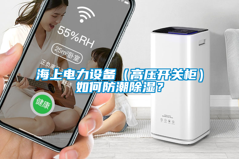 海上電力設(shè)備（高壓開關(guān)柜）如何防潮除濕？