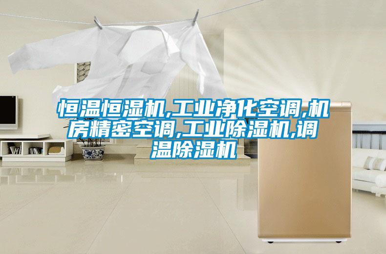 恒溫恒濕機(jī),工業(yè)凈化空調(diào),機(jī)房精密空調(diào),工業(yè)除濕機(jī),調(diào)溫除濕機(jī)