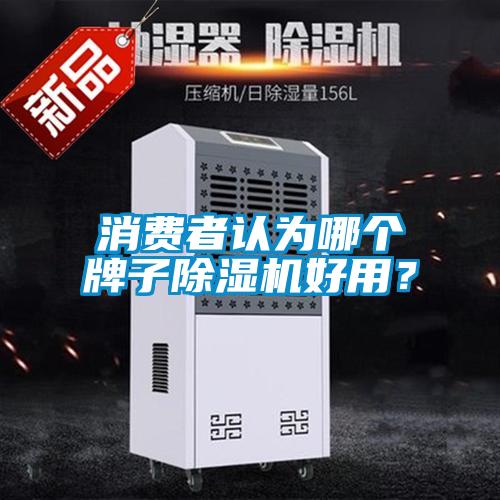 消費者認為哪個牌子除濕機好用？