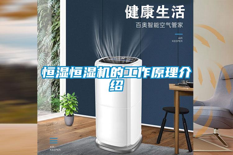 恒濕恒濕機(jī)的工作原理介紹
