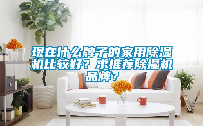 現(xiàn)在什么牌子的家用除濕機(jī)比較好？求推薦除濕機(jī)品牌？