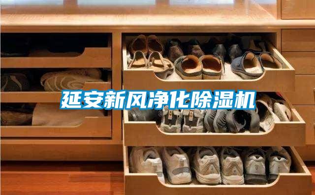 延安新風(fēng)凈化除濕機