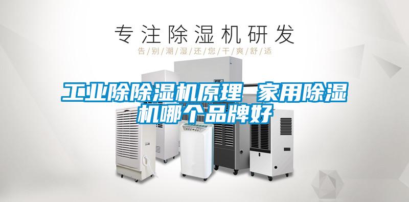 工業(yè)除除濕機(jī)原理 家用除濕機(jī)哪個(gè)品牌好