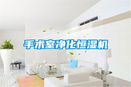 手術(shù)室凈化恒濕機(jī)