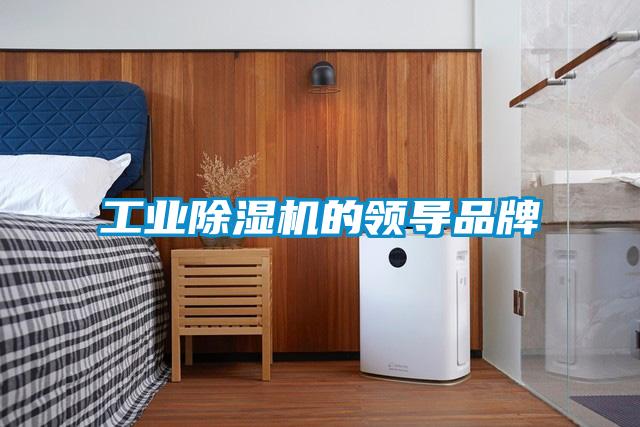工業(yè)除濕機(jī)的領(lǐng)導(dǎo)品牌