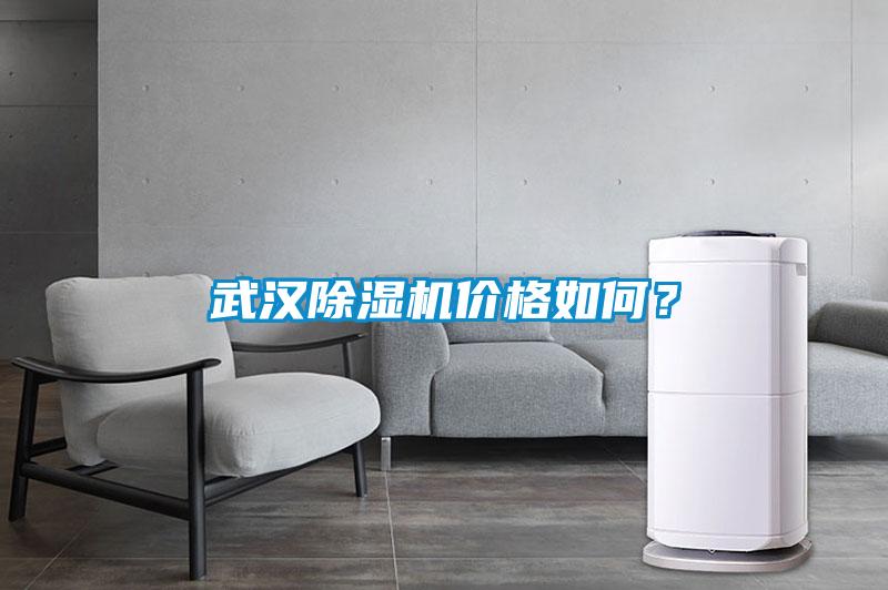 武漢除濕機(jī)價(jià)格如何？