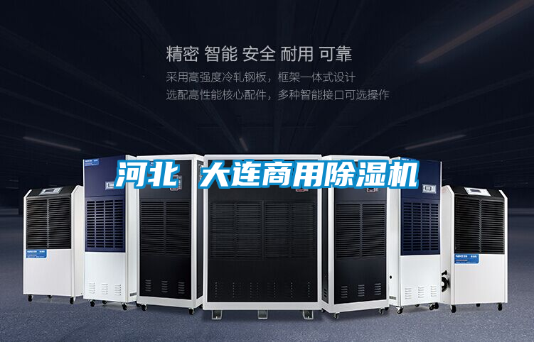 河北 大連商用除濕機
