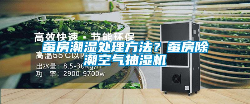 蠶房潮濕處理方法？蠶房除潮空氣抽濕機