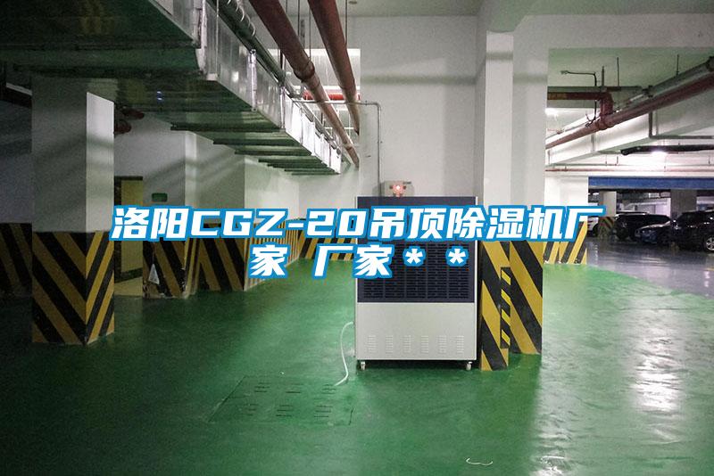 洛陽CGZ-20吊頂除濕機(jī)廠家 廠家＊＊