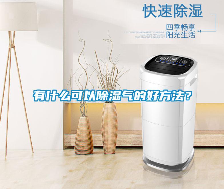 有什么可以除濕氣的好方法？