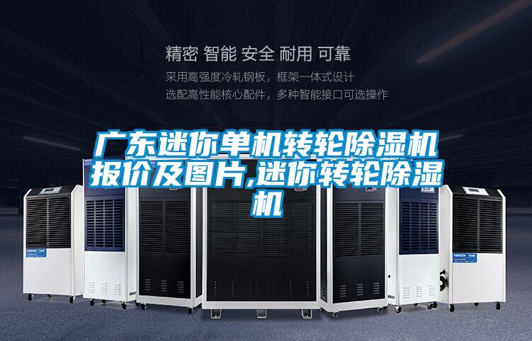 廣東迷你單機轉輪除濕機報價及圖片,迷你轉輪除濕機