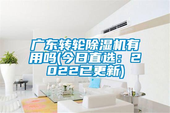 廣東轉輪除濕機有用嗎(今日直選：2022已更新)